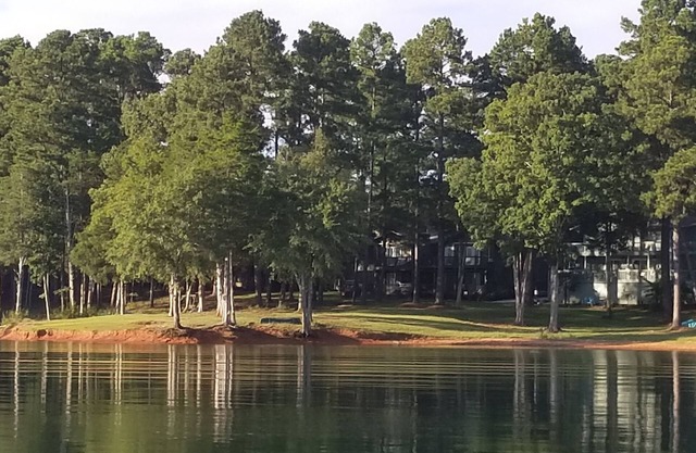 Une villa parfaite Waterfront sur le lac Hartwell. Venez vous détendre, amusez-vous, évadez-vous!