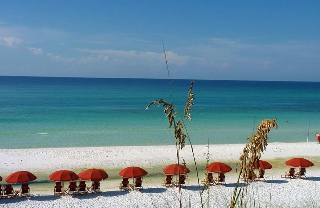 Un morceau de Beach Paradise - Magnifique condo de plage de 2 chambres!
