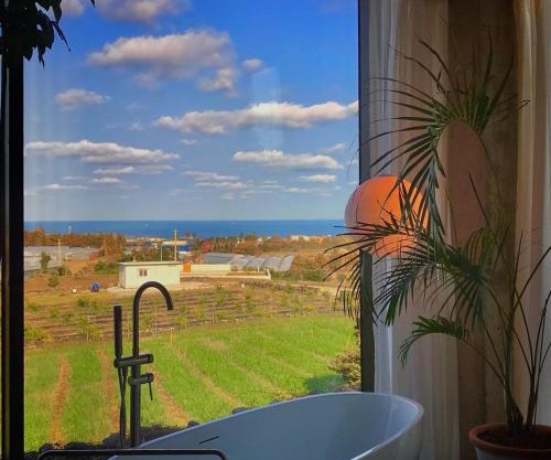 A private space in the western village of Jeju, where you can see the ocean of Aewol and Hallasan, pet-friendly