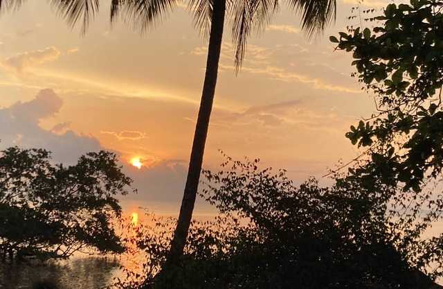 A studio cabin with AC and WiFi. in a Tropical Paradise setting.