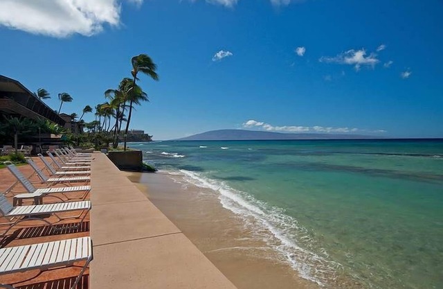 Une douce tranche de paradis ~ Ocean Front, 1 chambre, 1 salle de bain, pour 4 personnes