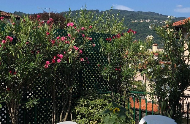 Une terrasse avec vue sur la montagne, appartement calme et spacieux.