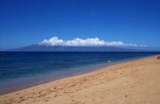 Unique Dolphin Cottage à Kaanapali!