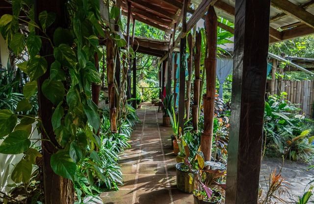 Une expérience unique dans la jungle tropicale entre jardins magiques et forêt tropicale.
