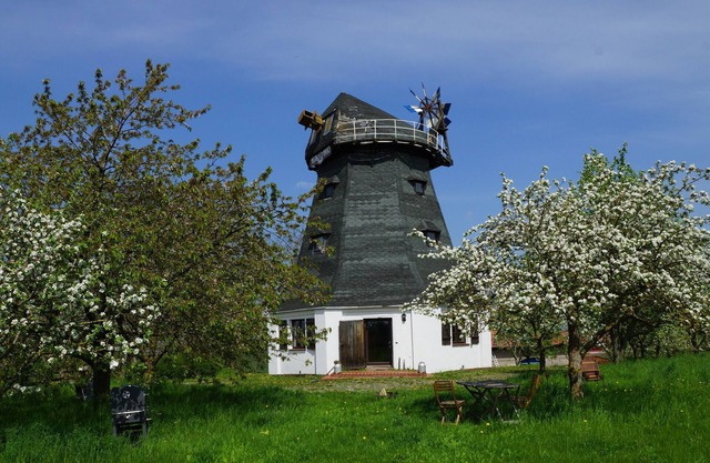 Un moulin à vent pour tomber amoureux, la famille et les chiens avec un grand jardin