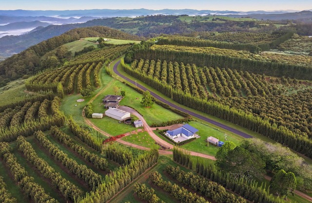Hilltop Farm Stay - Votre détente ultime
