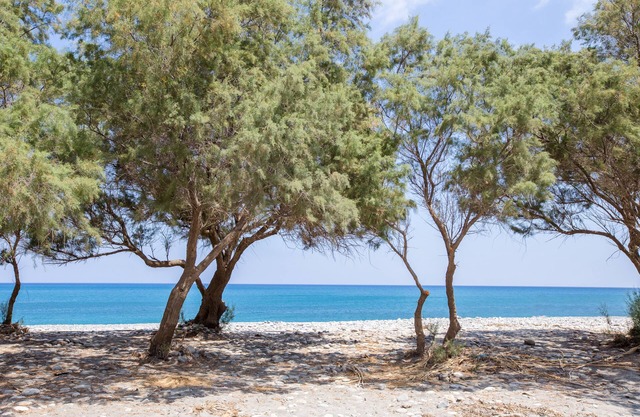 Aadonis Villa