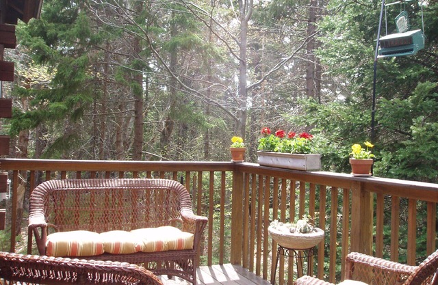 Acadia Cabin sur 2 acres boisés isolés près de Bar Harbor