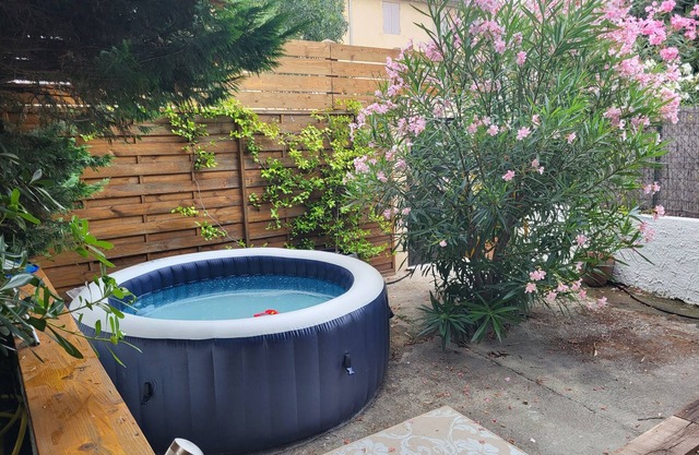 Logement avec spa et jardin au coeur de Saint Rémy de provence
