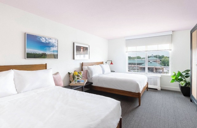 Accommodation Right in the Heart of the City | Pets Are Allowed