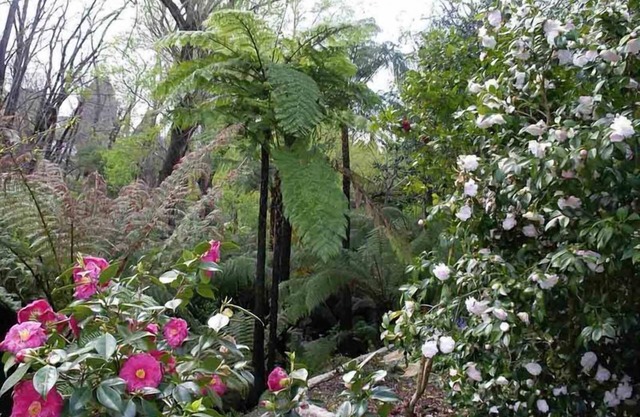Adelaide Hills Logement en Bed & Breakfast