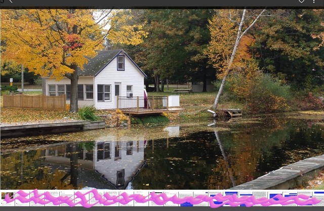 Adorable chalet de vacances Townline Lake: Paradise! Nage en bateau, kayak, poisson, peinture