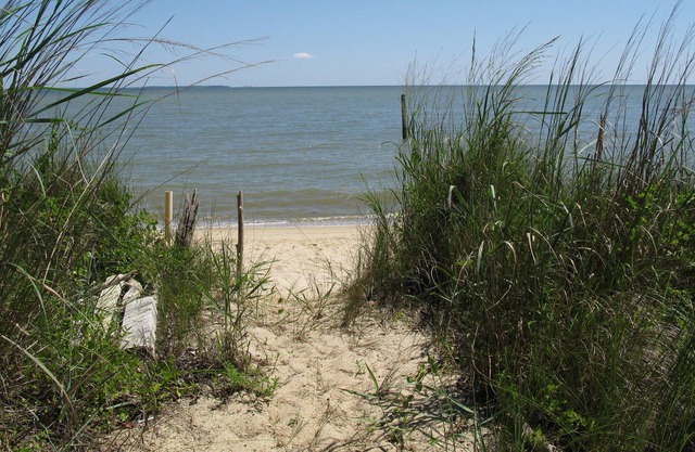 Adorable Cottage avec plage de sable blanc