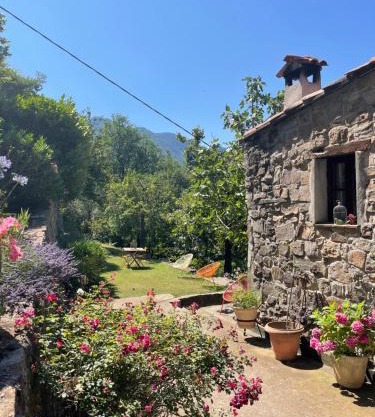 Adorable gîte - Le figuier
