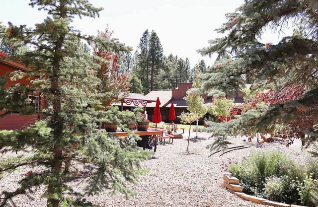Affordable 1BR Lodge Room in Pinehill, AZ – Ideal for Outdoor Adventurers