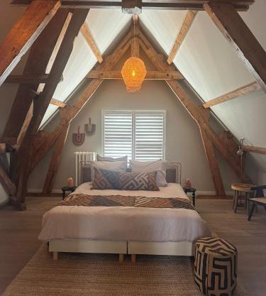 African Cosy suite