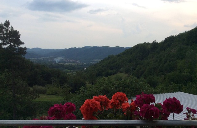 Agritourism and Cantina del buon dormire "Il Tesoro di MiRo "bio