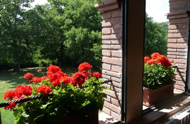 Agriturismo Colli di Travale