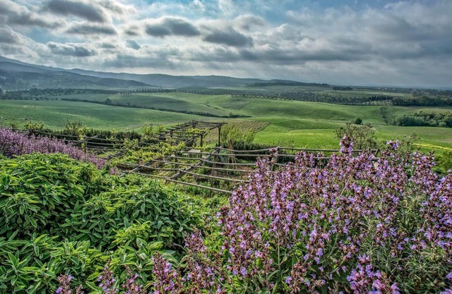 Agriturismo Le Tassinaie