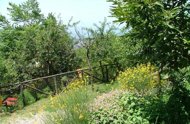 Agriturismo La Ginestra