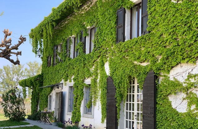 Agriturismo Tra Le Vigne