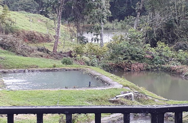 Logement Agua Azul