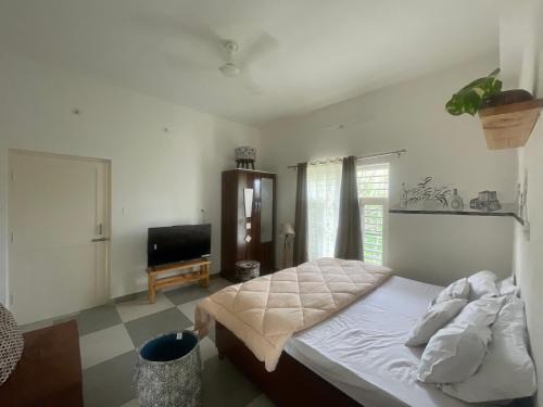 Akaasa Home stays