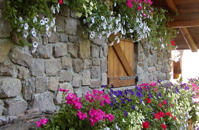 Au Folastro: chalet niché dans une forêt de conte de fées