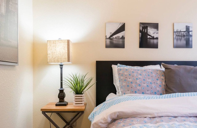 AL1: Remarkable Dog-friendly 3/1 Near SCU, airport