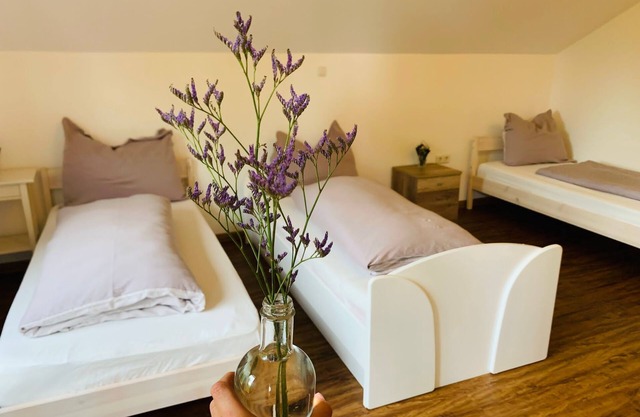 Albergue Haid