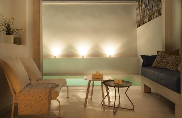 Ale Maison Piscine et netflix