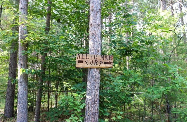 Allie Mae Yurt nestled in the woods