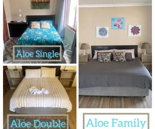 Aloe Guest Rooms