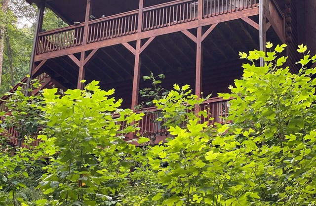 Alpenhaus Cabins Real Log Home dans les montagnes Helen Ga