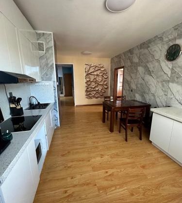 Altai Apartment in Industrial street
