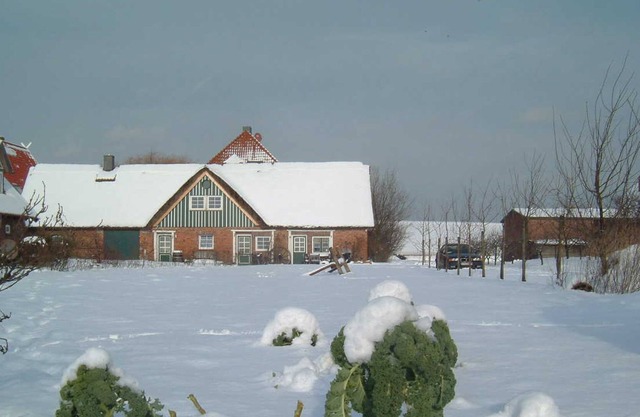 Appartement au toit de chaume 1 - Alter Obsthof am Elbdeich - Vacances sous le toit de chaume