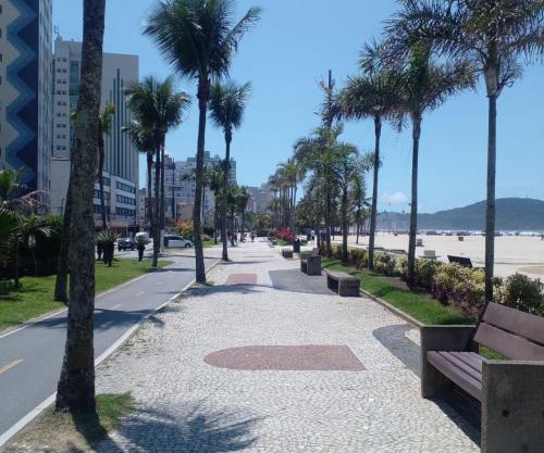 Aluga Apartamento Prédio Frente para o Mar