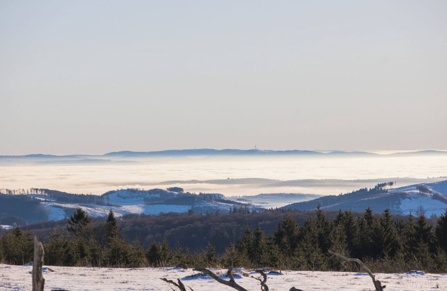 Am Südhang apartment 28 | Cozy holiday home in Winterberg with panoramic view