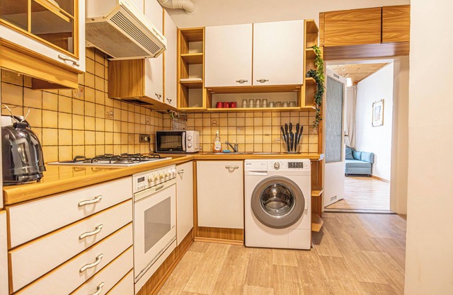 Amazing 1BR-1LR Apt. 7-Min to Stadthalle
