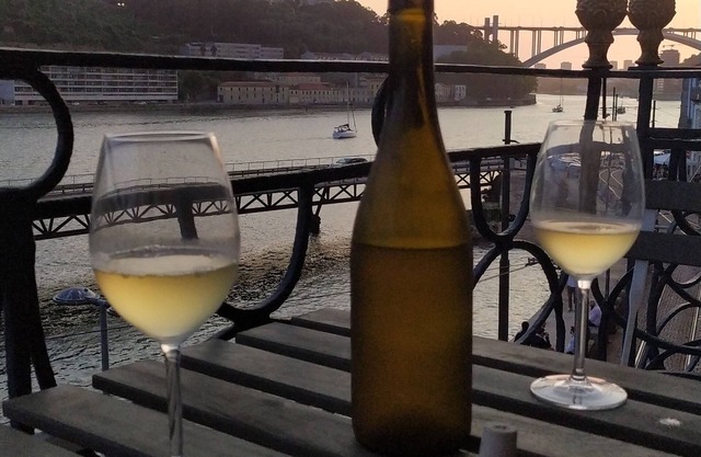 Amazing apartment total Douro river-views
