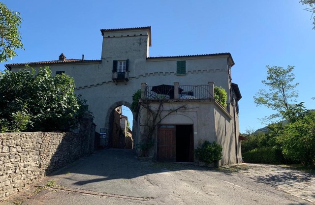 Amazing castle house