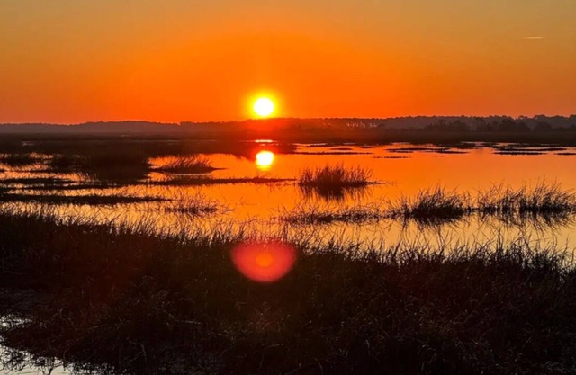 Charming suite house with marsh views private hottub in brilliant Charleston