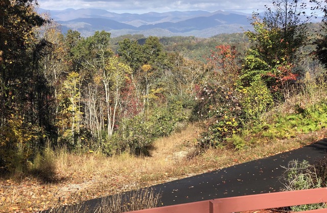 Amazing Mountain Views! Dog friendly, minutes to Pisgah Forest!