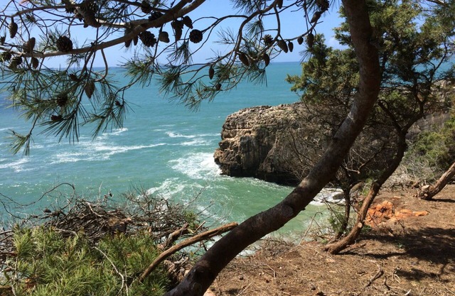 Superbe villa vue par S. Pedro do Estoril Beach