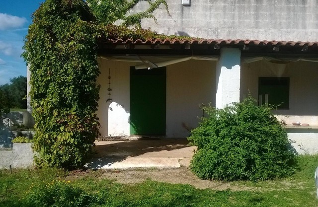 Ancienne maison de campagne parmi les oliviers du Salento à 20 'de la mer