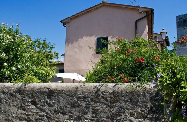 MAISON ANCIENNE RENOVEE AVEC JARDIN DANS VILLAGE MÉDIÉVAL - LE JARDIN SECRET
