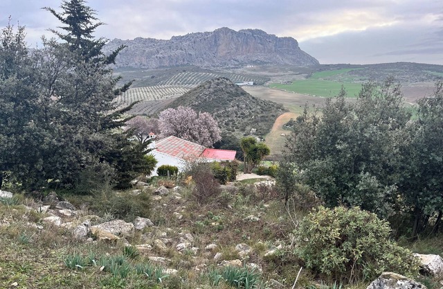 Andalucían Serenity at El Torcál