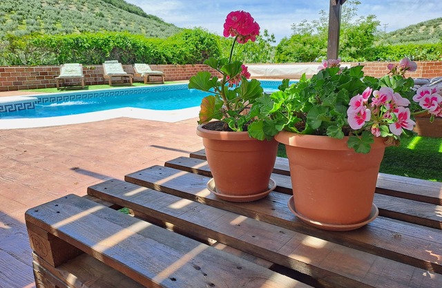 Bel appartement rural avec piscine partagée