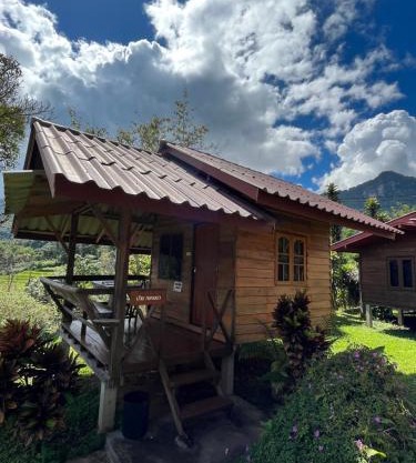 Angha forest view บ้านกลางนา