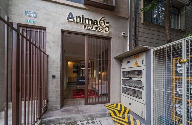 Anima 65